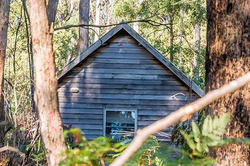 Settlers Hut in the bush
