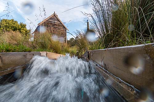 Tail race below the micro-hydro generater