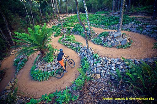 MTB rider on the Axehead trail, Blue Derby