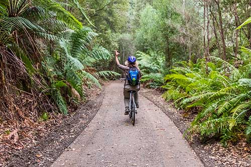 Rider on the Dorset Rail Trail