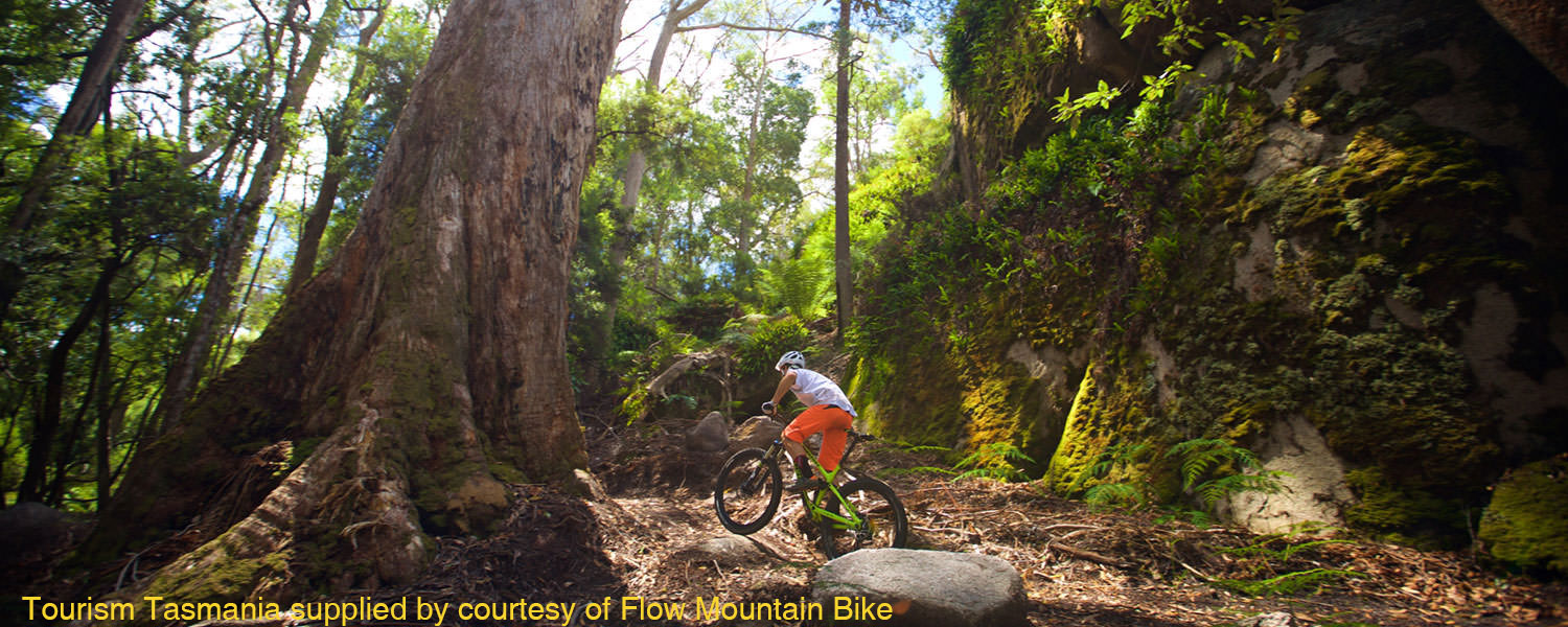 Blue Cerby MTB Trails